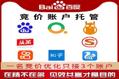 百度竞价广告投放全解析：成功案例揭秘